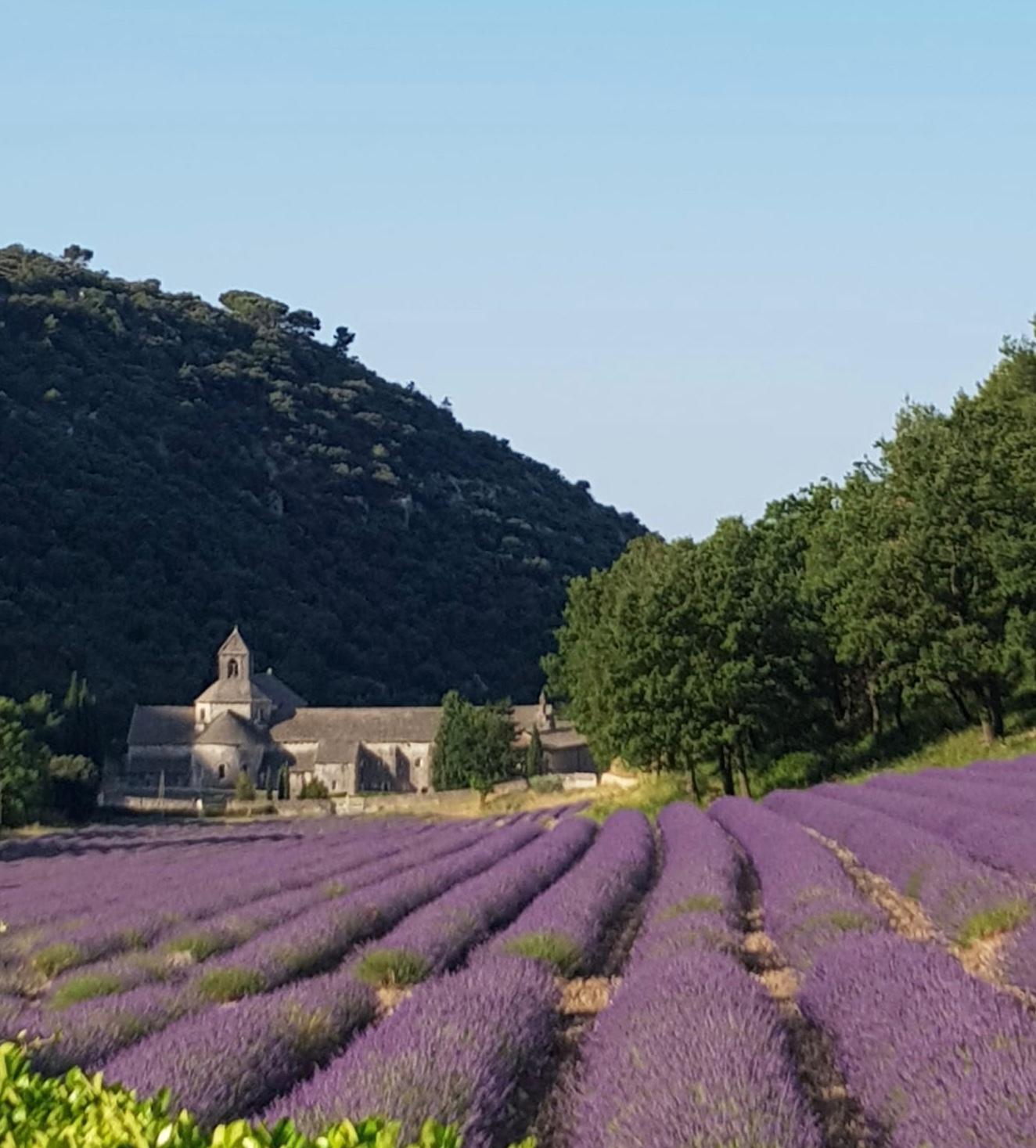 Abbaye de Sénanque